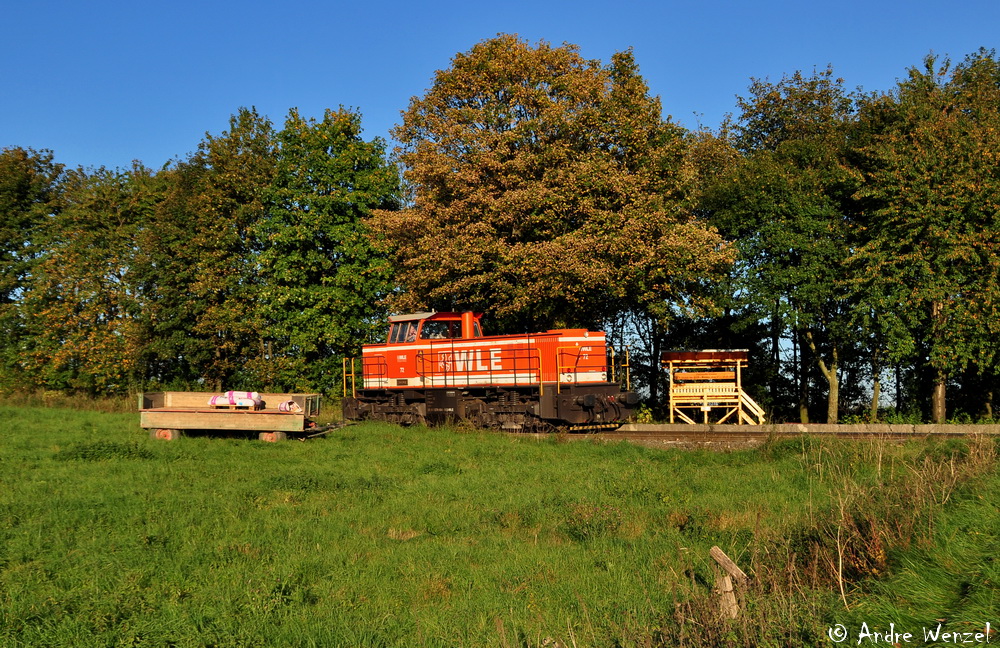 Herbst bei der WLE IV