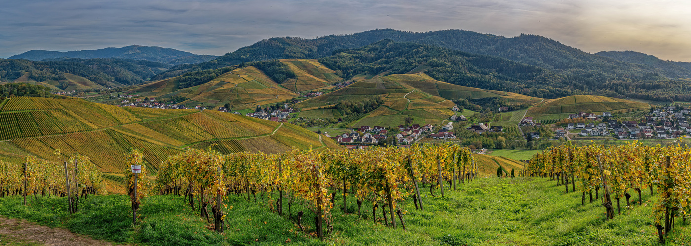 Herbst bei Durbach