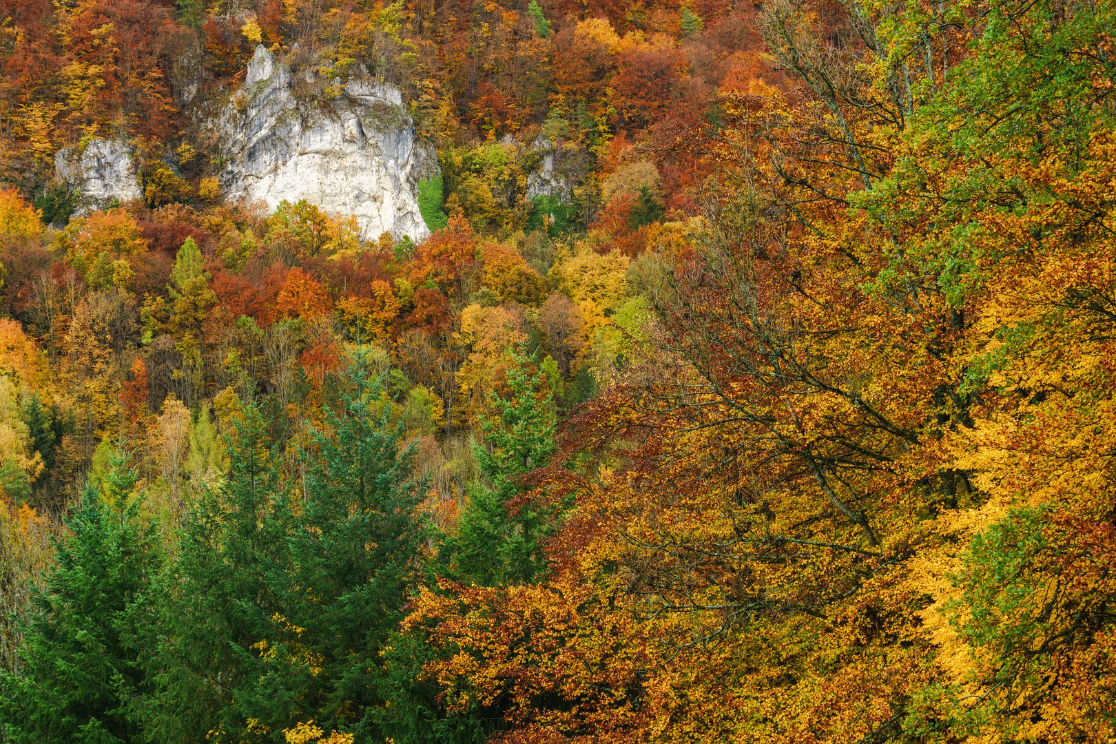 Herbst bei Ebermannstadt 