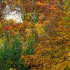 Herbst bei Ebermannstadt 