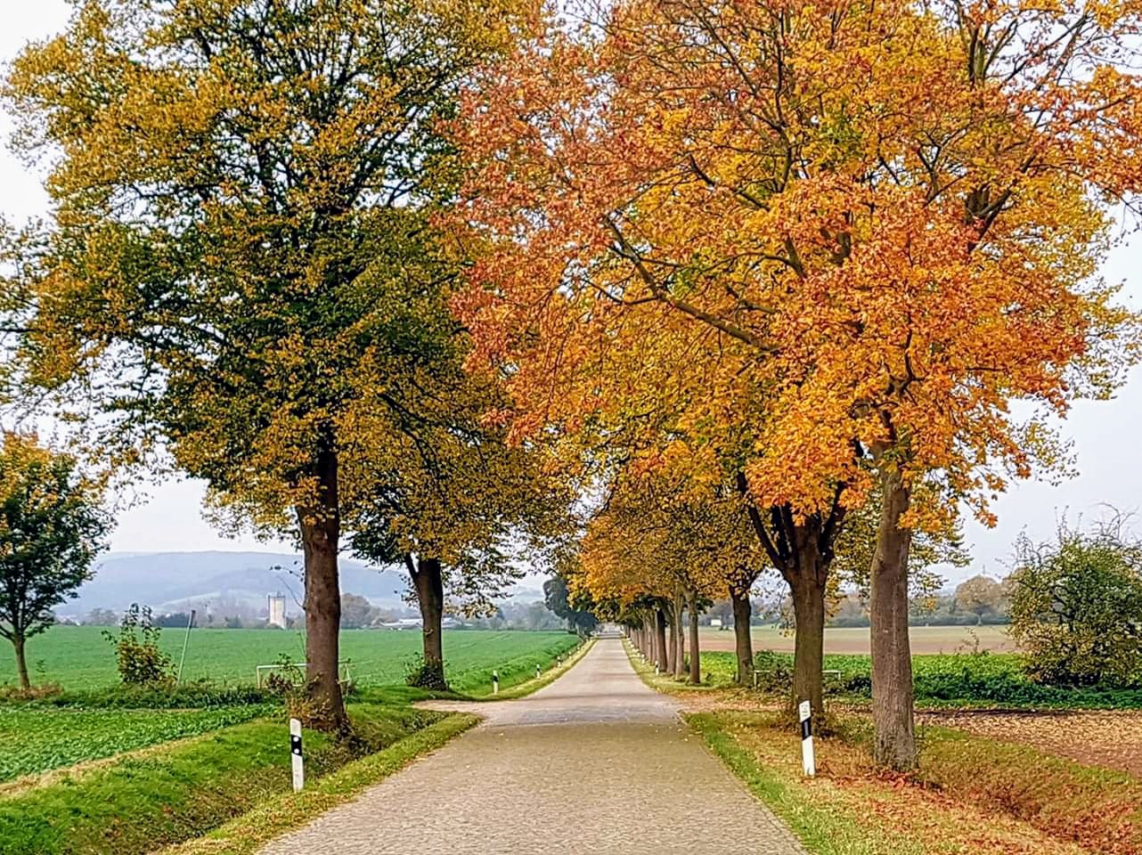 Herbst bei Emmerthal im Weserbergland