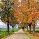 Herbst bei Emmerthal im Weserbergland