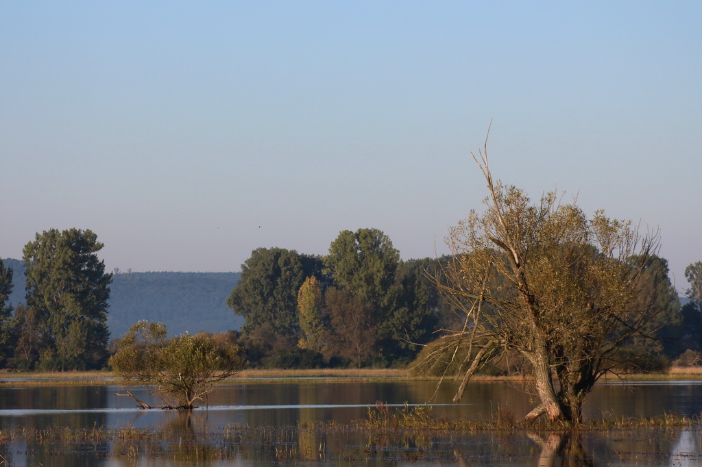 Herbst bei Fluss