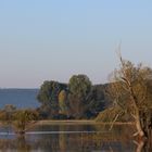 Herbst bei Fluss