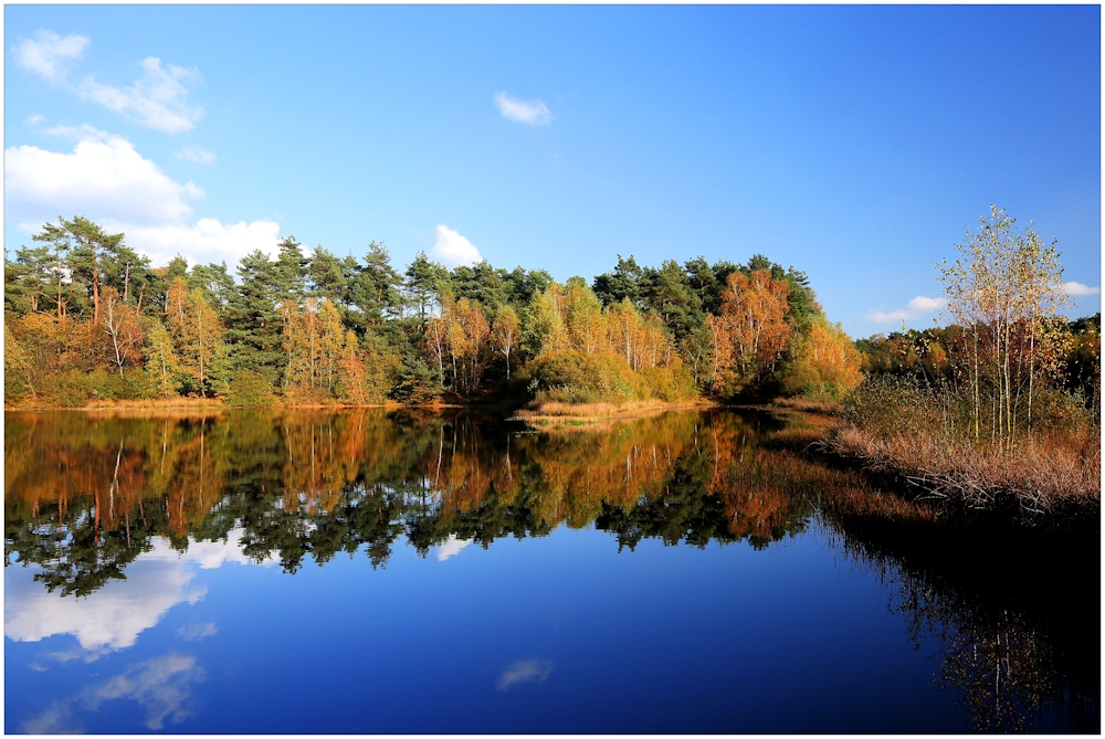 Herbst bei Haltern am See