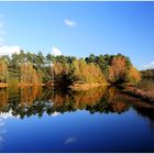 Herbst bei Haltern am See