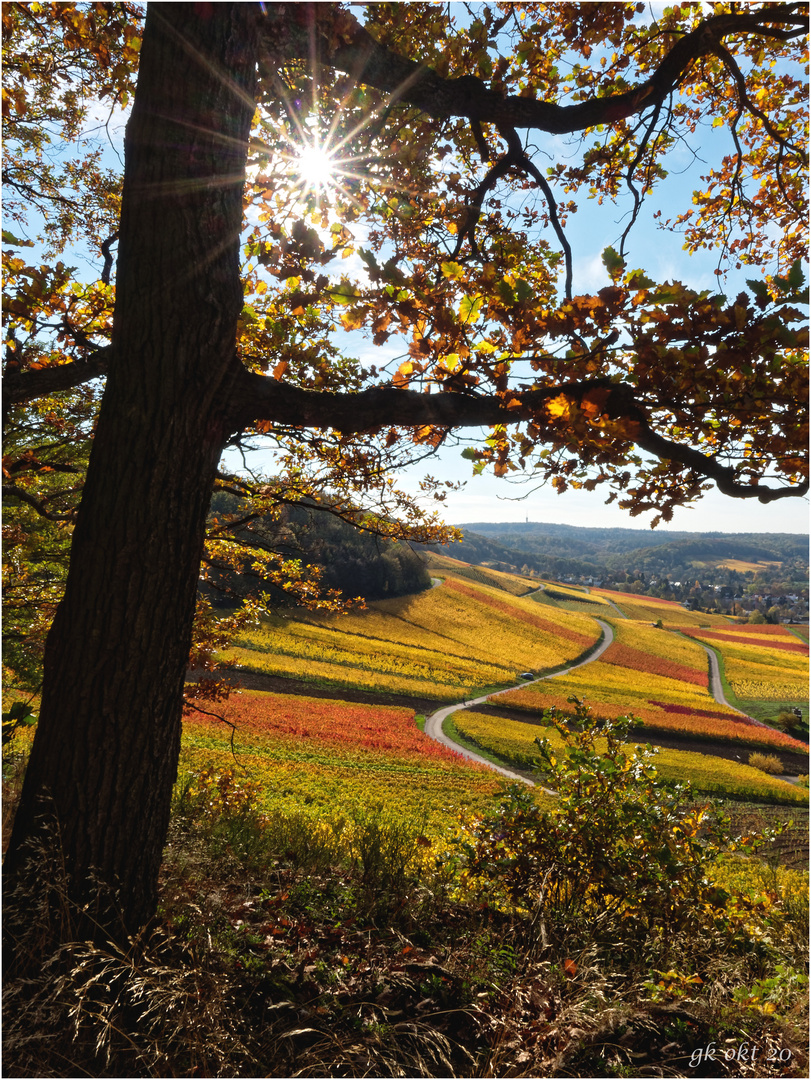 Herbst bei Heilbronn