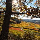 Herbst bei Heilbronn