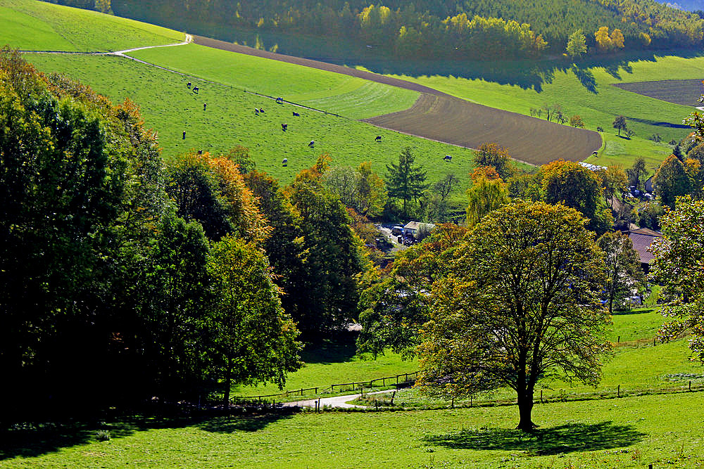 Herbst bei Hilchenbach-Oberndorf (5)