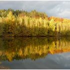 Herbst bei Hruba Skala...