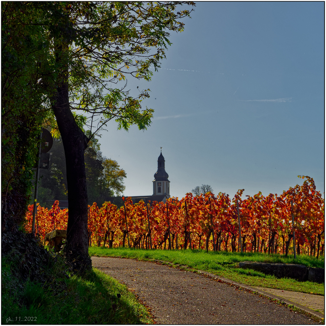 Herbst bei Löwenstein