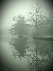 Herbst bei Matthias C. um die Ecke