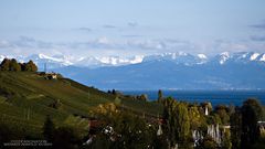 Herbst bei Meersburg