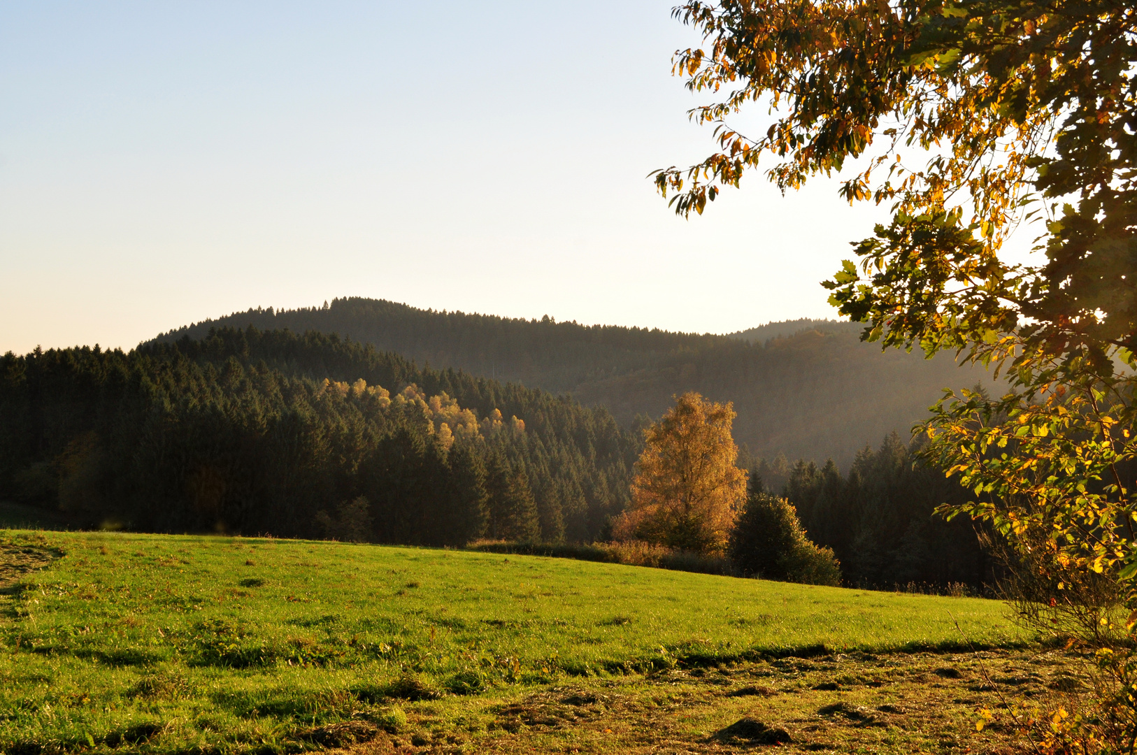 Herbst bei Meinerzhagen-Kropplenberg