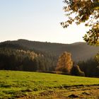 Herbst bei Meinerzhagen-Kropplenberg