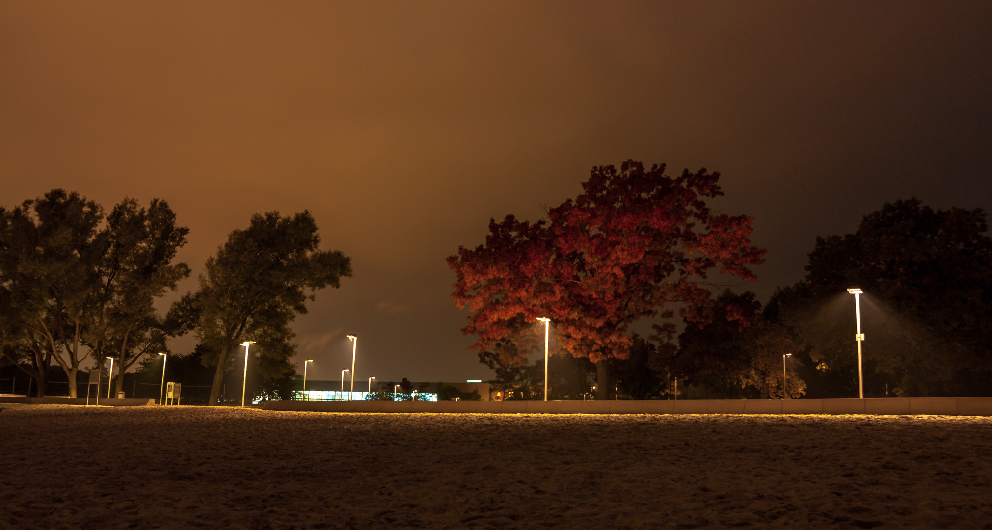 Herbst bei Nacht