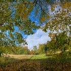 Herbst, bei Nidda