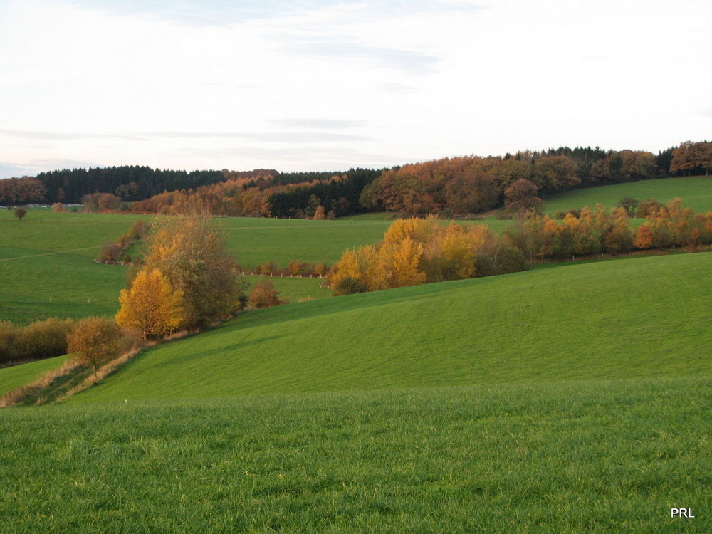 Herbst bei Nümbrecht