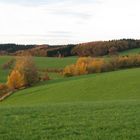 Herbst bei Nümbrecht