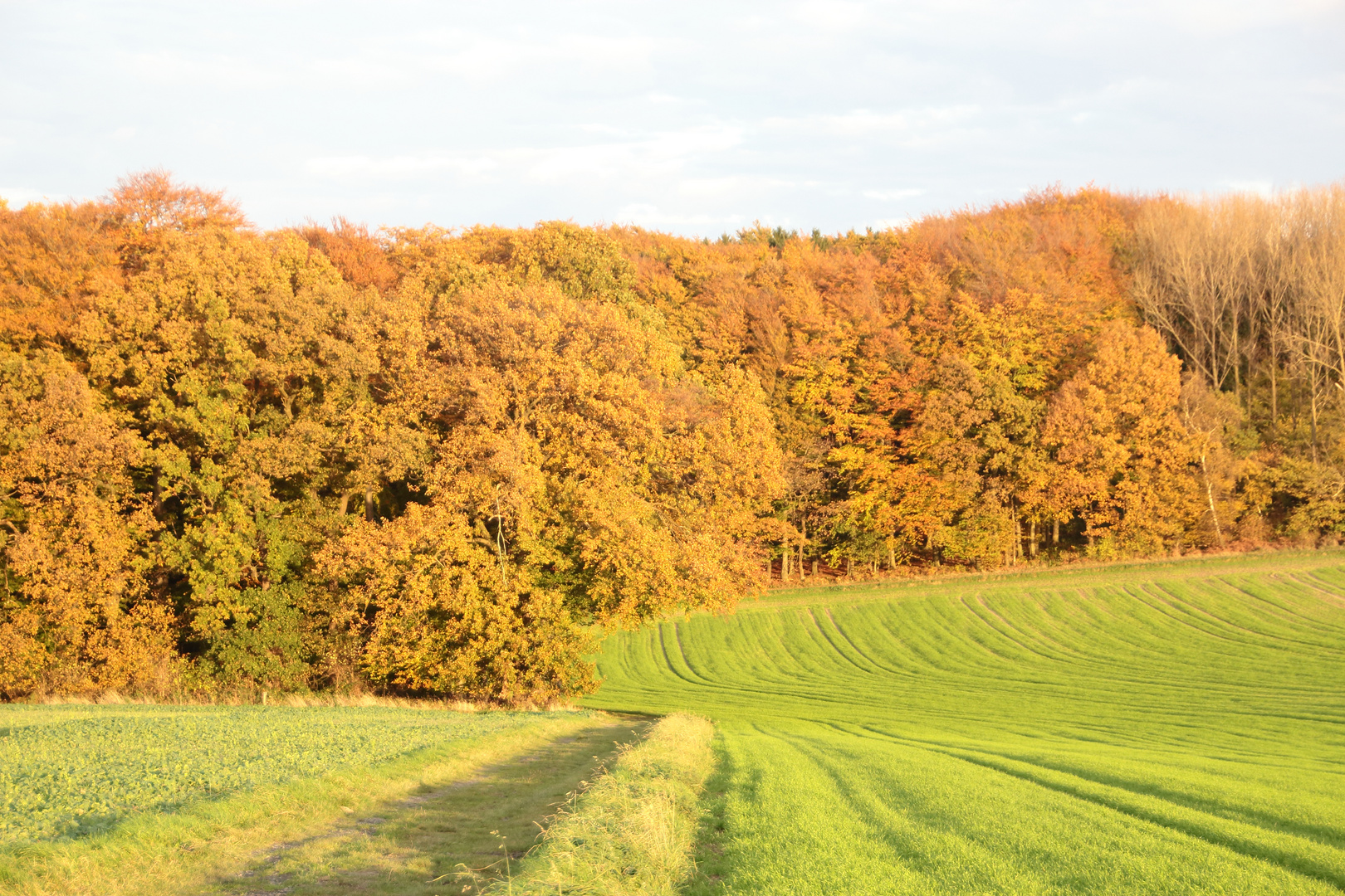 Herbst bei Ostbüren