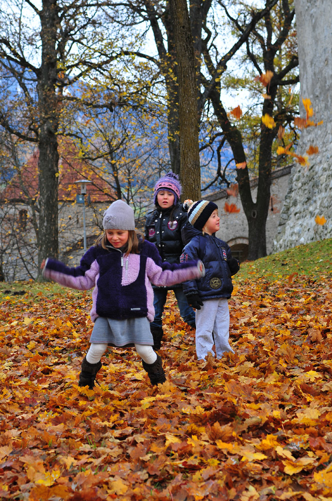 Herbst bei Schloss Bruneck