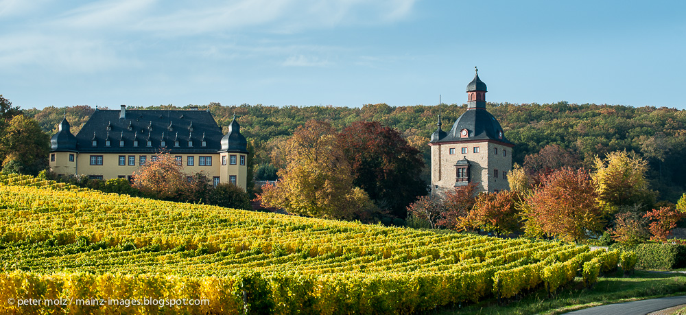 Herbst bei Schloss Vollrads im Rheingau