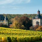 Herbst bei Schloss Vollrads im Rheingau