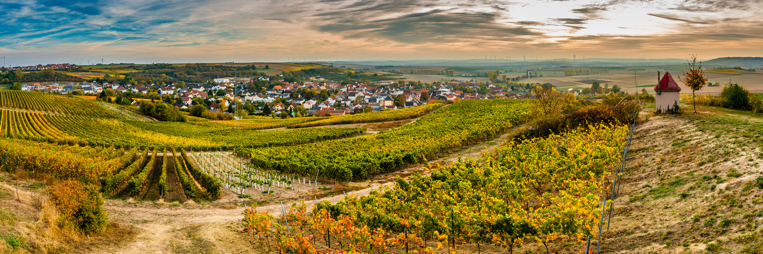 Herbst bei Sulzheim (2)