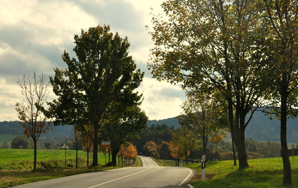 Herbst bei Taubenheim