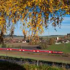 Herbst bei Thann-Matzbach