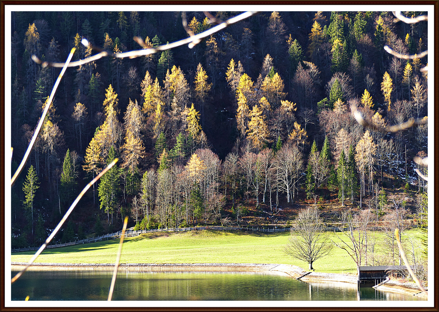 Herbst beim Achensee