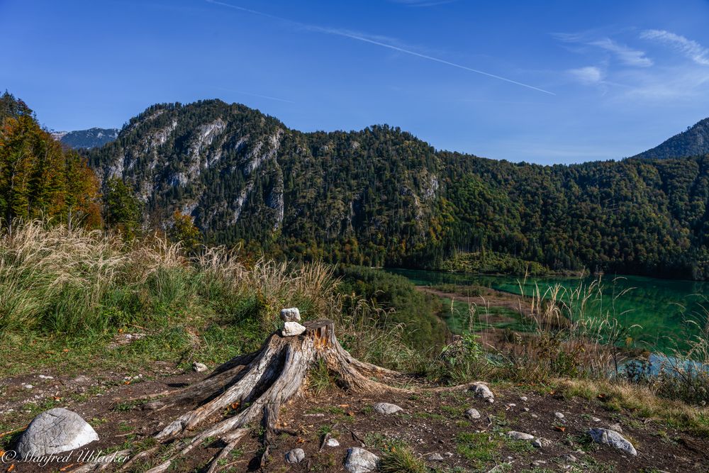 Herbst beim Almsee ...