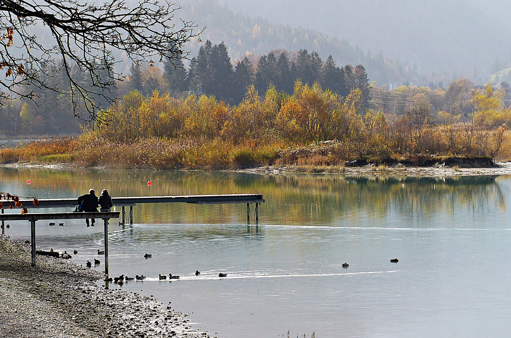 Herbst beim Forggensee 1