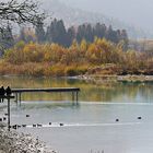 Herbst beim Forggensee 1