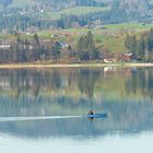 Herbst beim Forggensee 2