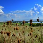 Herbst beim Leuchtturm