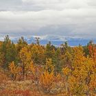 Herbst beim Rondane