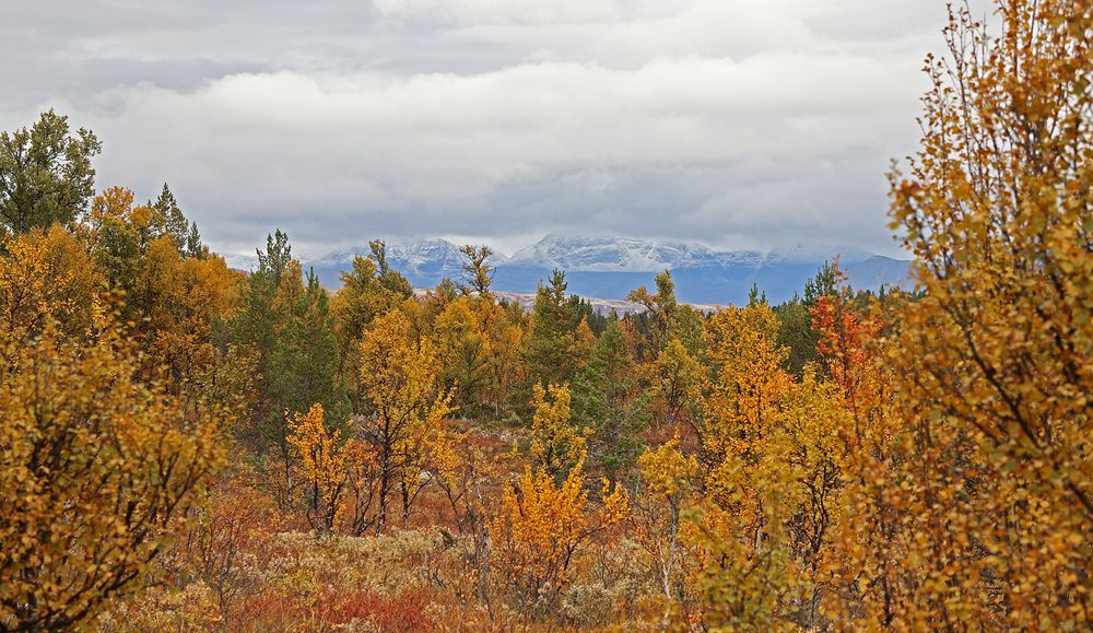 Herbst beim Rondane
