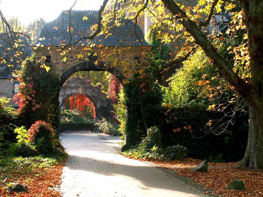 Herbst beim Schloss Namedy / Rhein