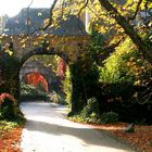 Herbst beim Schloss Namedy / Rhein