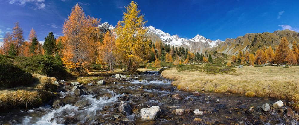 HERBST ° BERG ° BACH