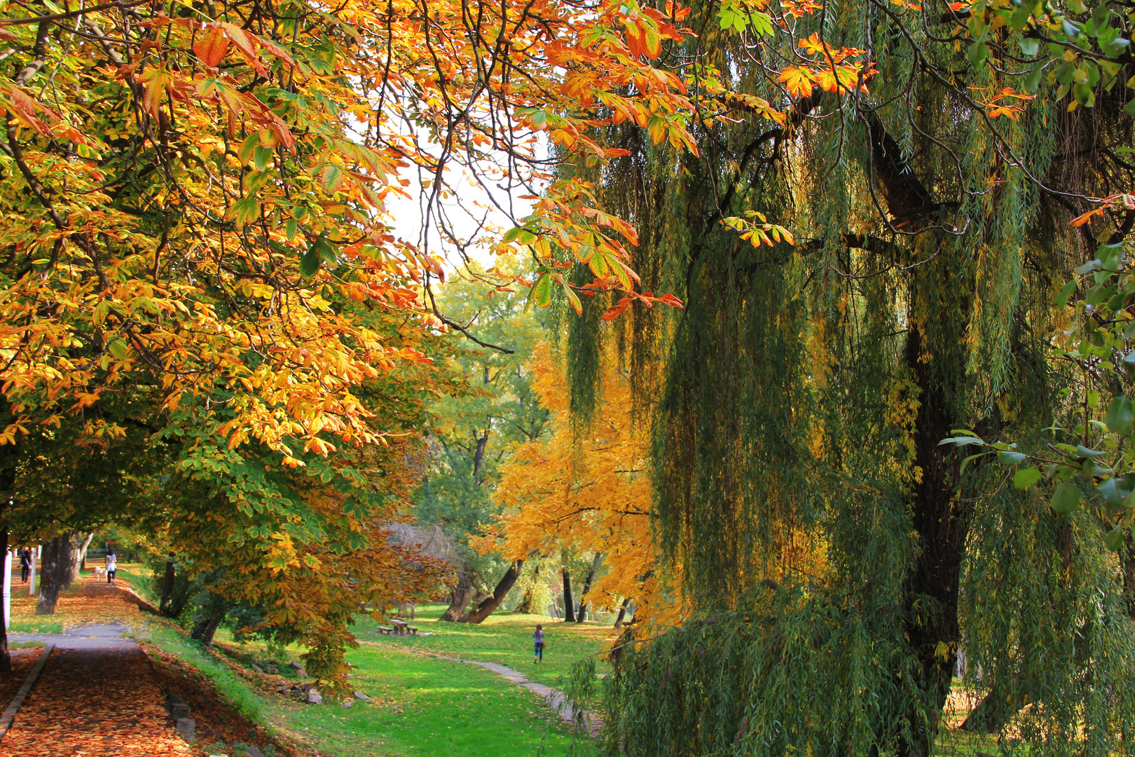 herbst bim Oradea