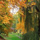 herbst bim Oradea