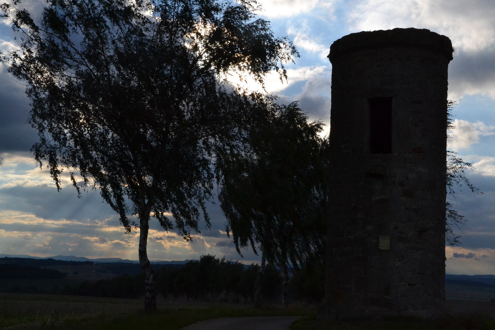 Herbst-Birken am Warte-Turm