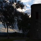 Herbst-Birken am Warte-Turm