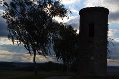 Herbst-Birken am Warte-Turm