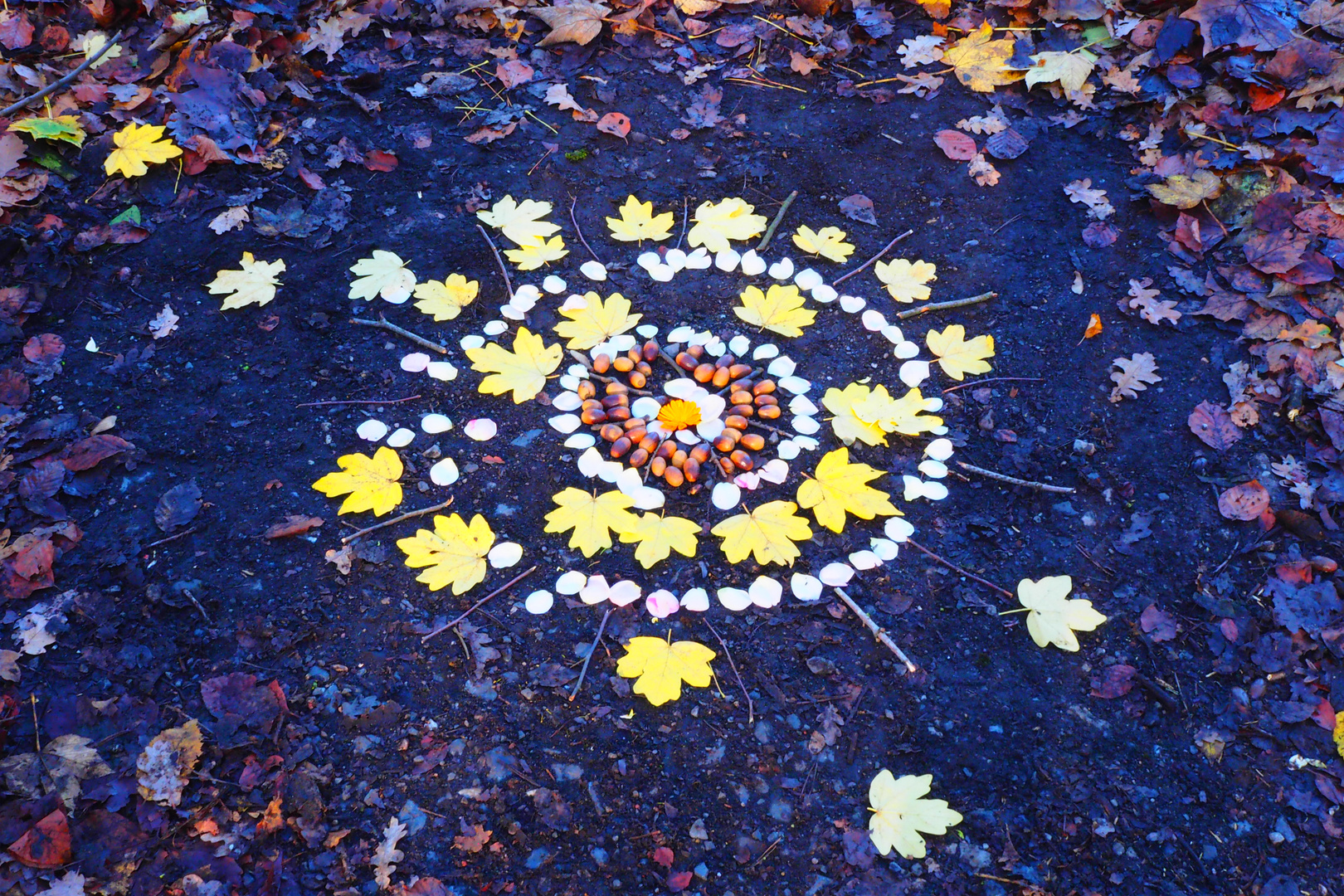 Herbst Blätter