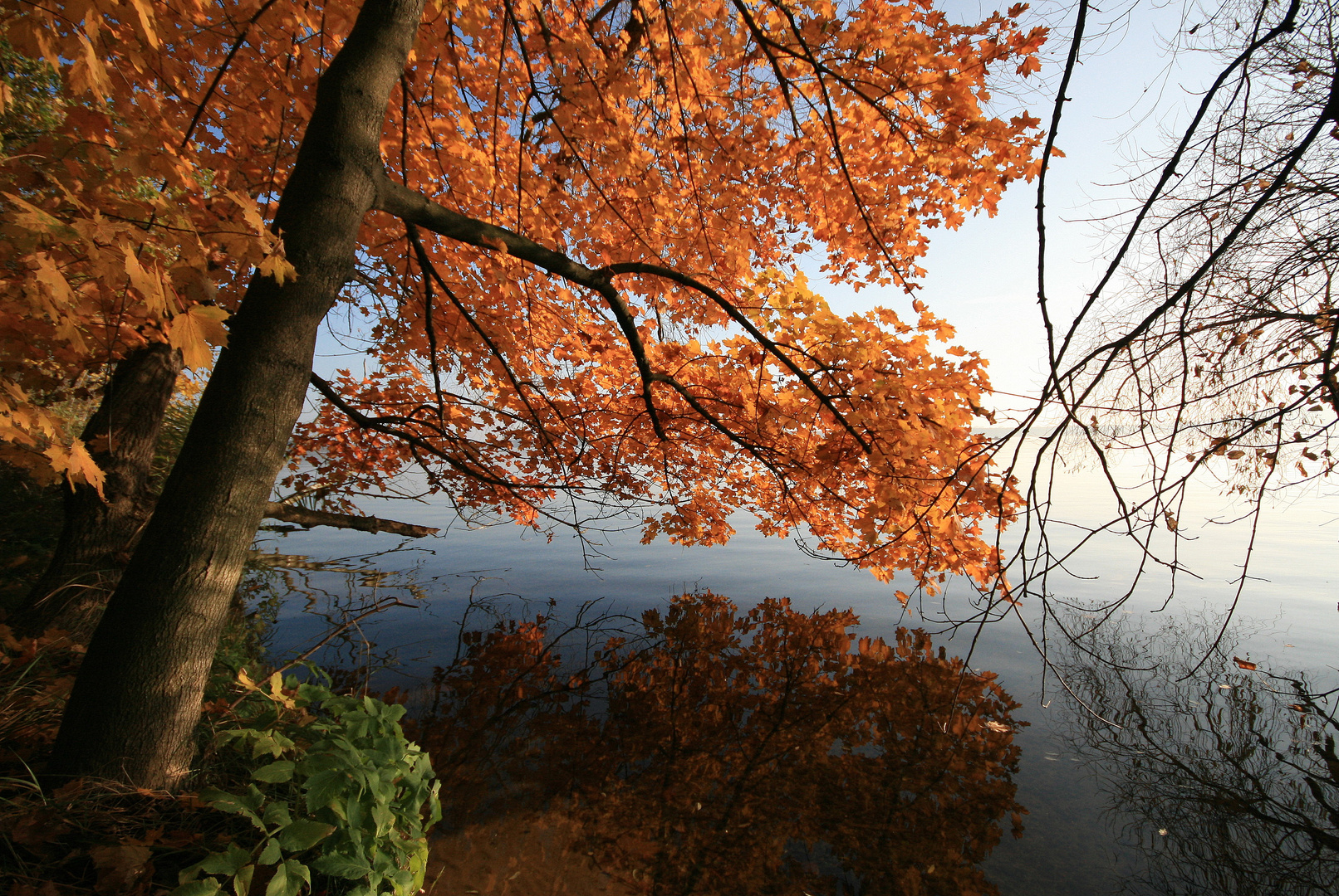 herbst blätter sammeln