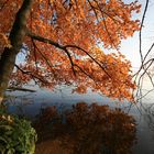 herbst blätter sammeln