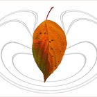  Herbst-Blatt 